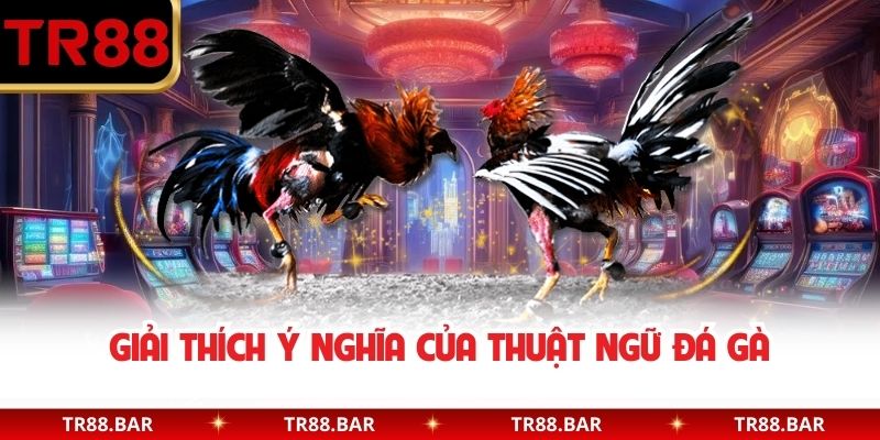 Giải thích ý nghĩa của thuật ngữ đá gà